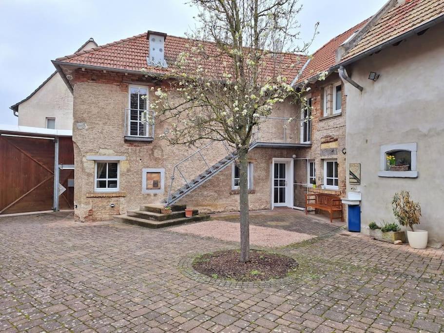 Ferienwohnung Tante Trude Bad Kreuznach Luaran gambar